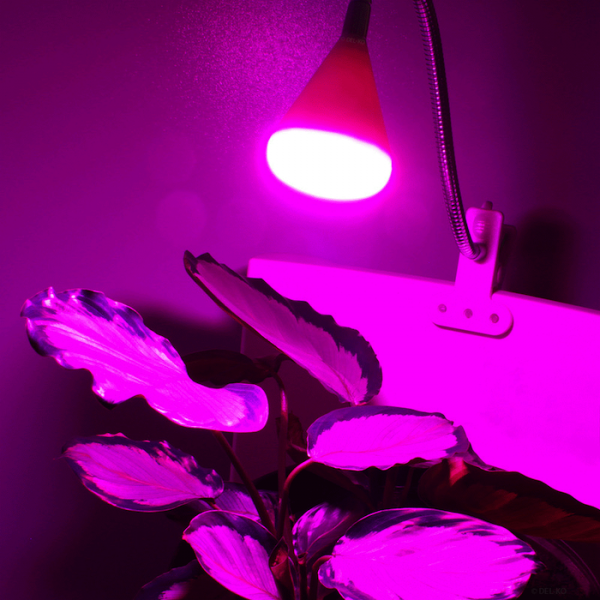 LED Pflanzenleuchte mit drehbarem Leuchtenkopf