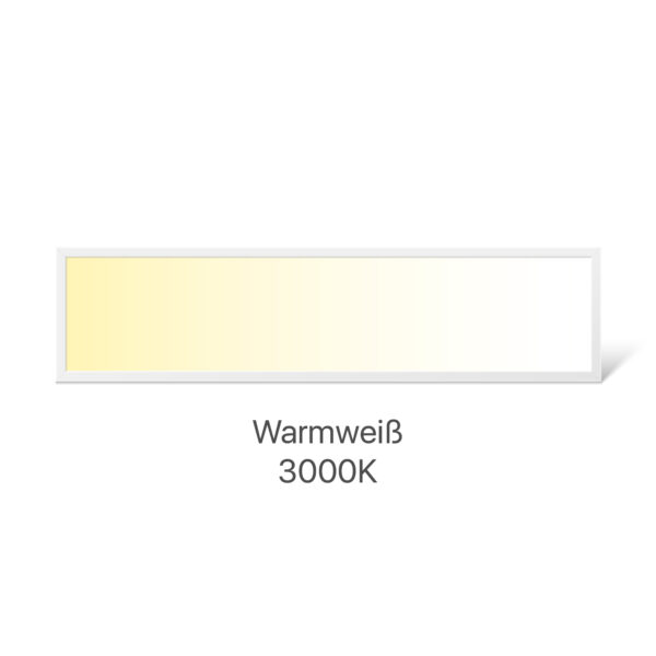 Helles 40W LED Panel 3000K warmweiß 30x120 300x1200